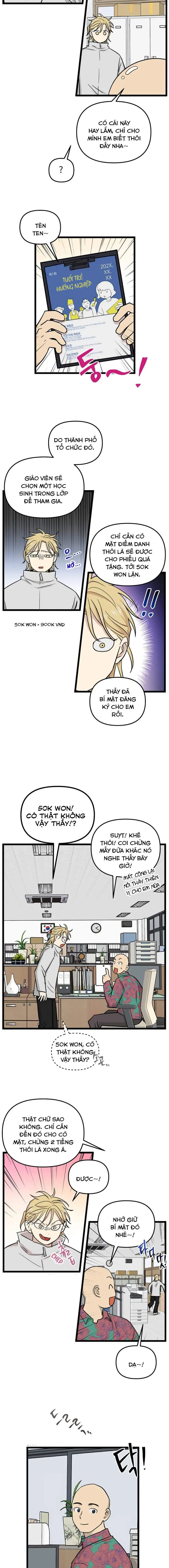 I Have No Home Chapter 219 - Trang 8