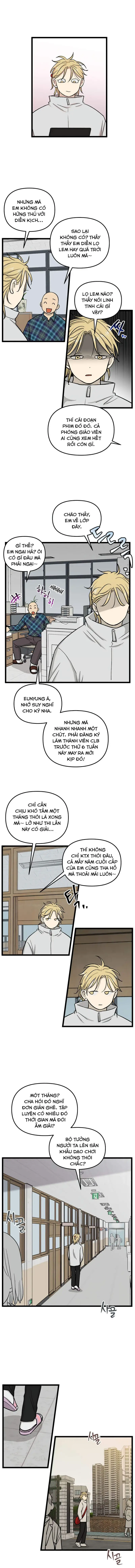 I Have No Home Chapter 220 - Trang 4