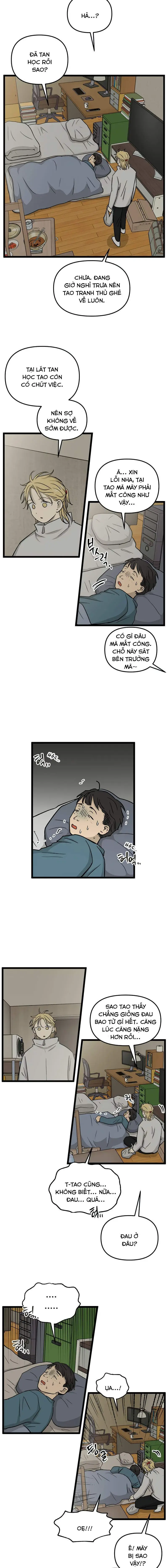 I Have No Home Chapter 221 - Trang 6