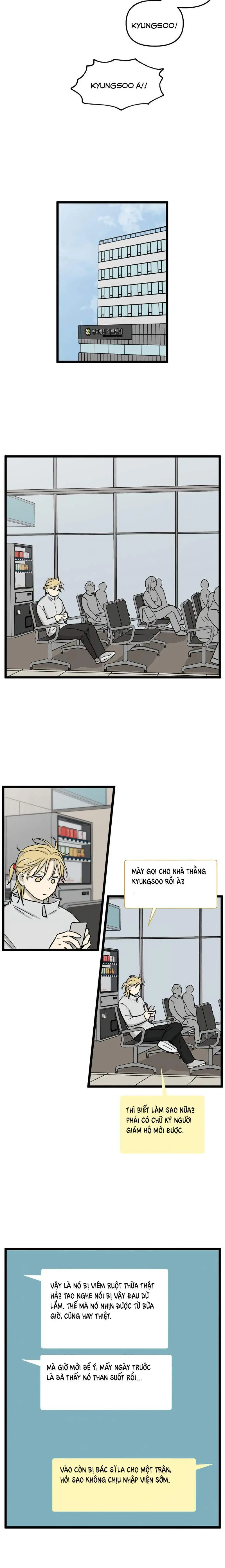 I Have No Home Chapter 221 - Trang 7