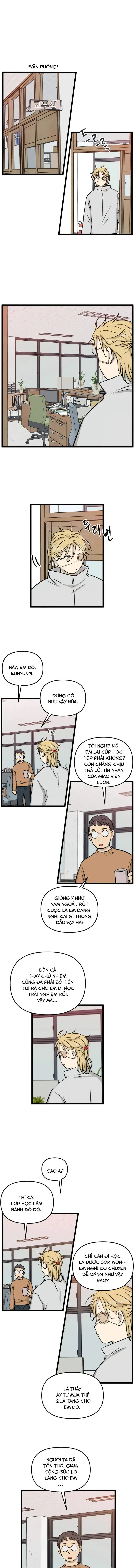 I Have No Home Chapter 222 - Trang 7