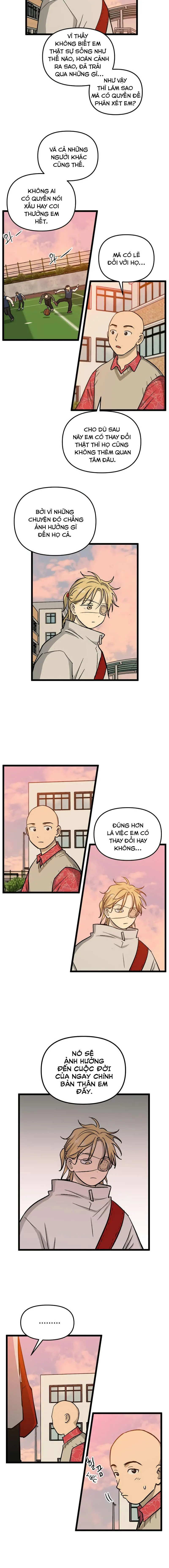 I Have No Home Chapter 223 - Trang 8