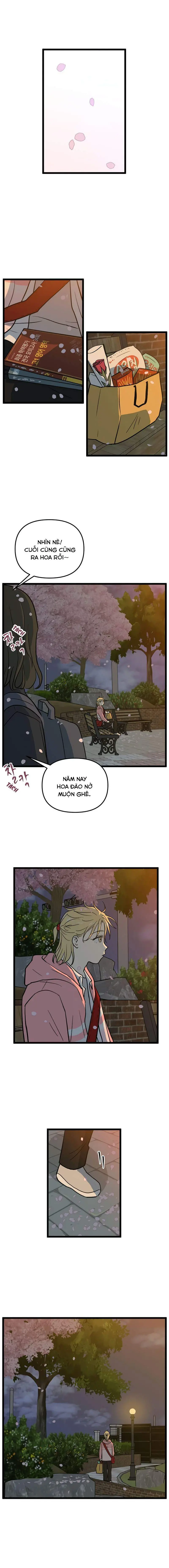 I Have No Home Chapter 225 - Trang 9
