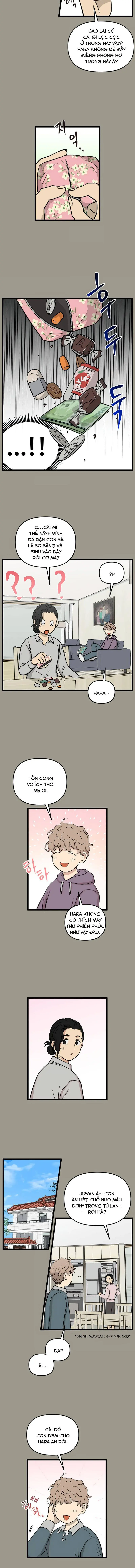 I Have No Home Chapter 226 - Trang 5