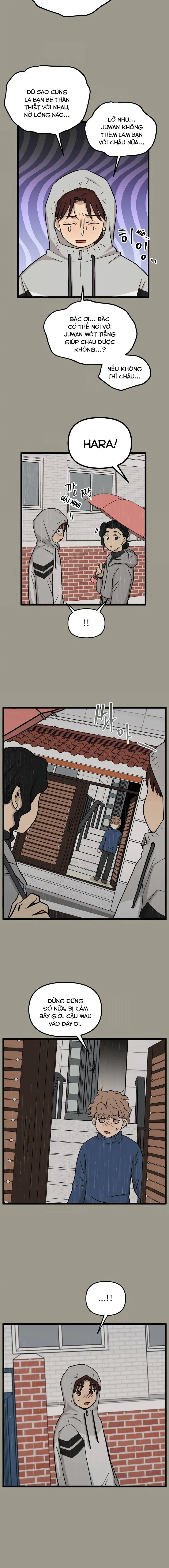 I Have No Home Chapter 228 - Trang 15