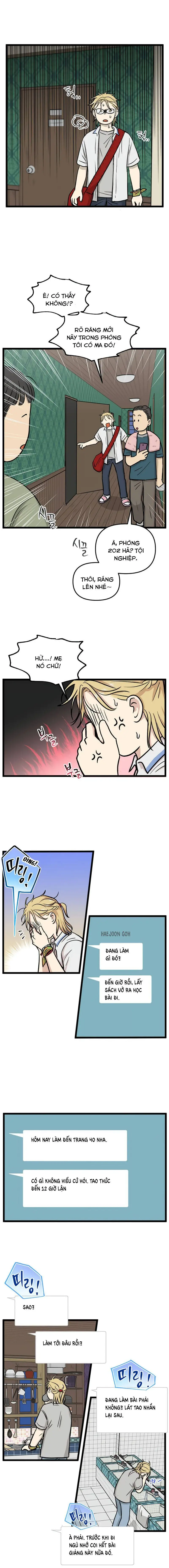I Have No Home Chapter 232 - Trang 7