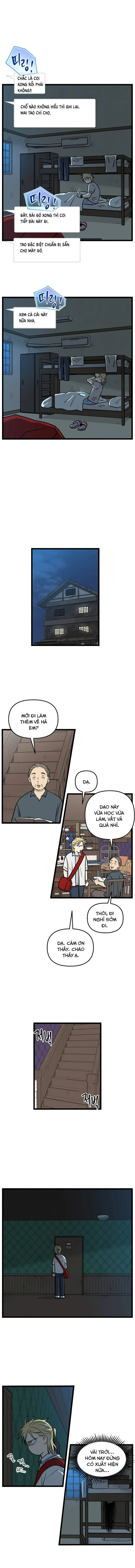 I Have No Home Chapter 232 - Trang 8