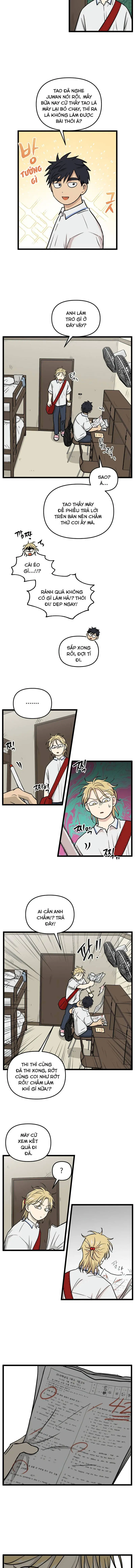 I Have No Home Chapter 234 - Trang 8