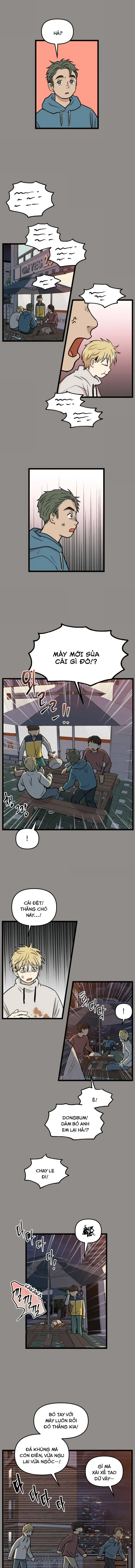 I Have No Home Chapter 236 - Trang 4