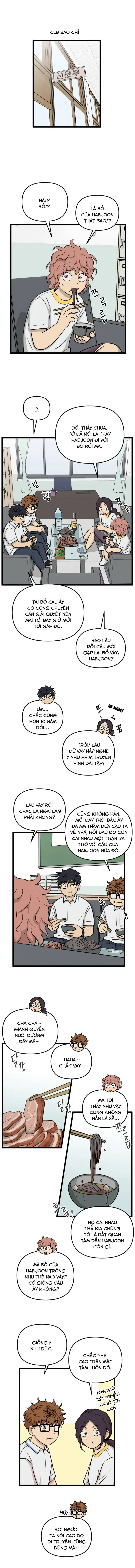 I Have No Home Chapter 239 - Trang 11