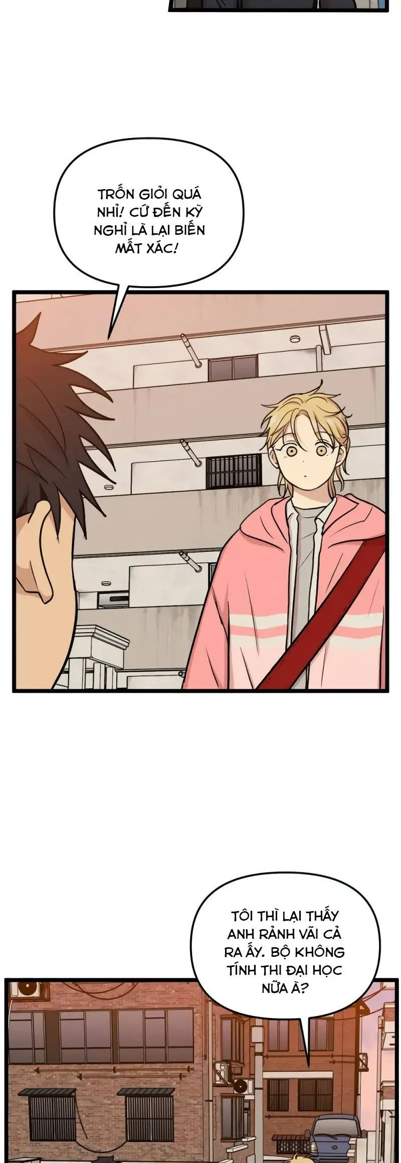 I Have No Home Chapter 255 - Trang 4