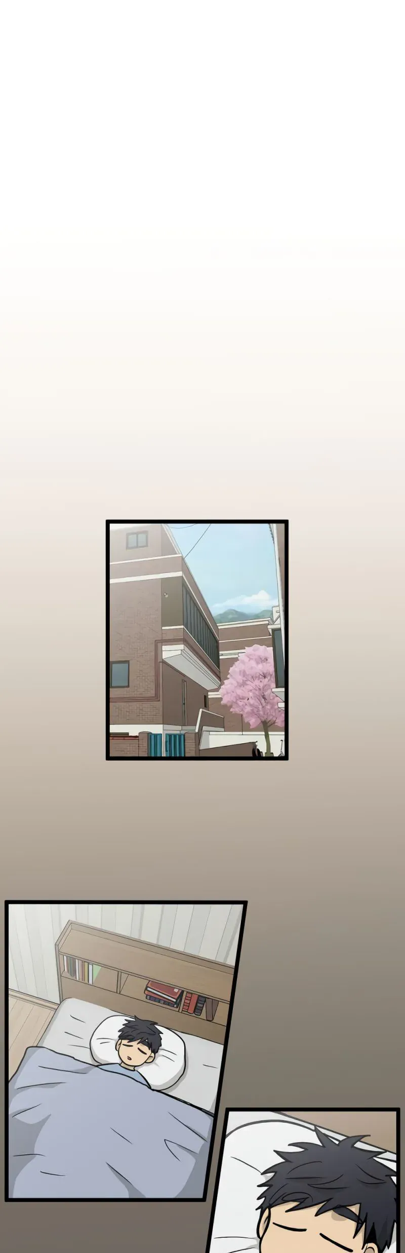 I Have No Home Chapter 265 - Trang 15