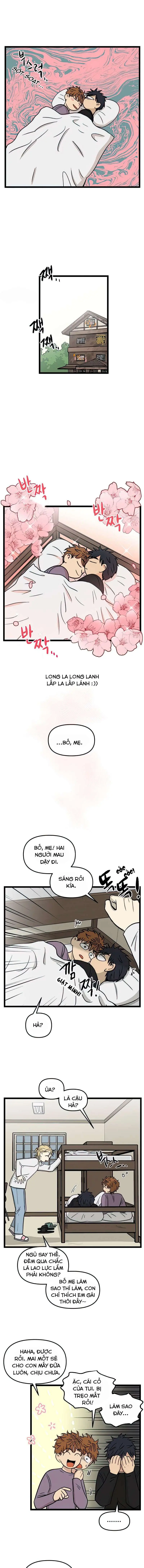 I Have No Home Chapter 97 - Trang 12