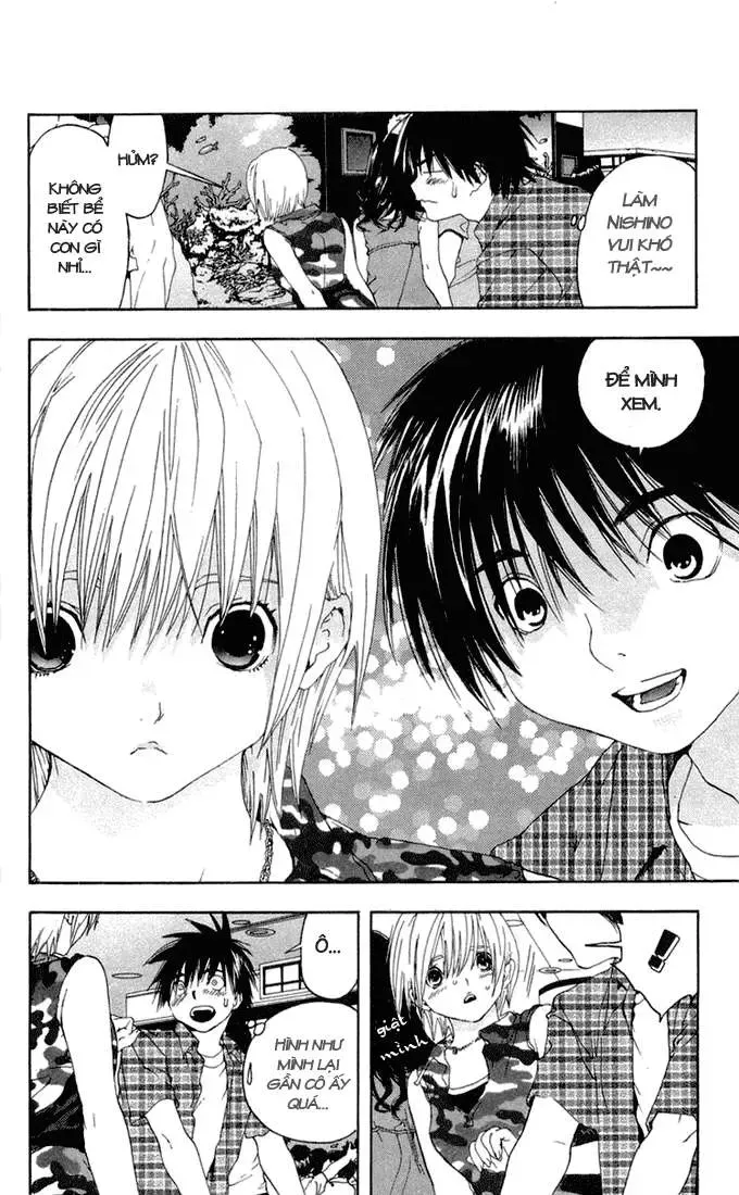 Ichigo 100% Chapter 141 - Trang 14