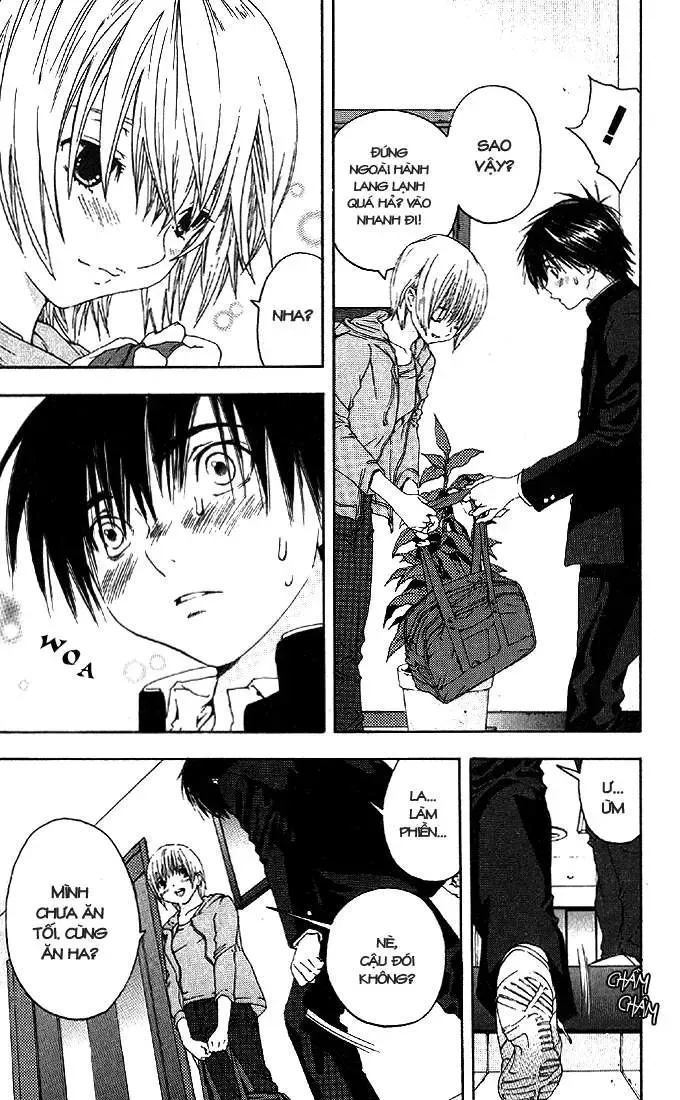 Ichigo 100% Chapter 154 - Trang 5