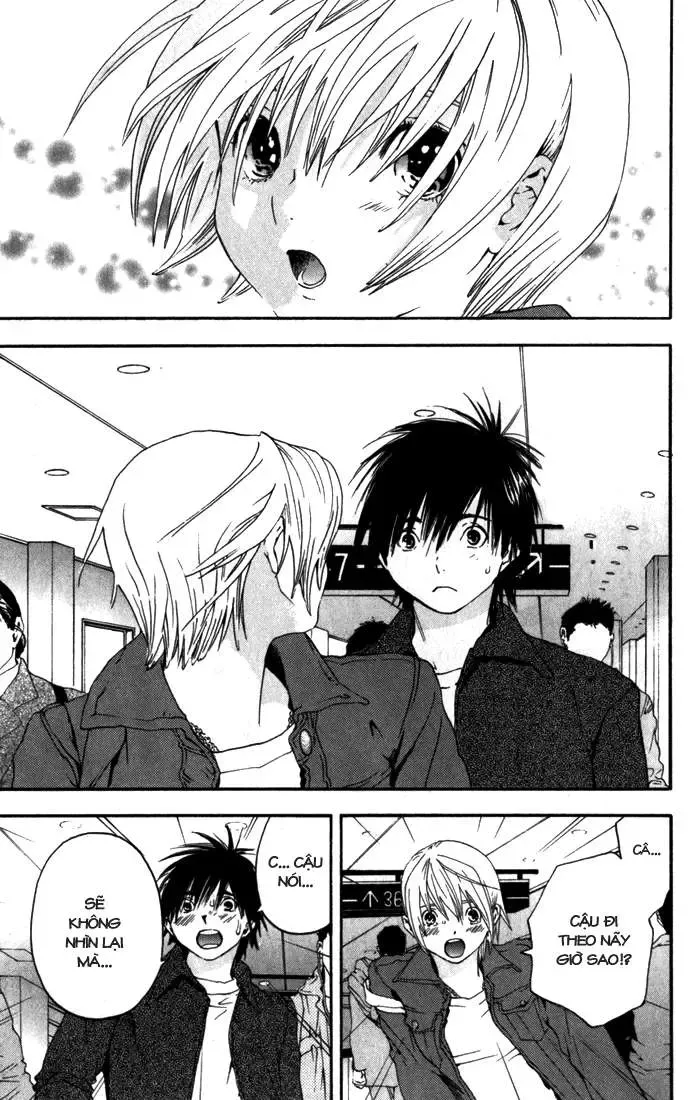 Ichigo 100% Chapter 165 - Trang 19
