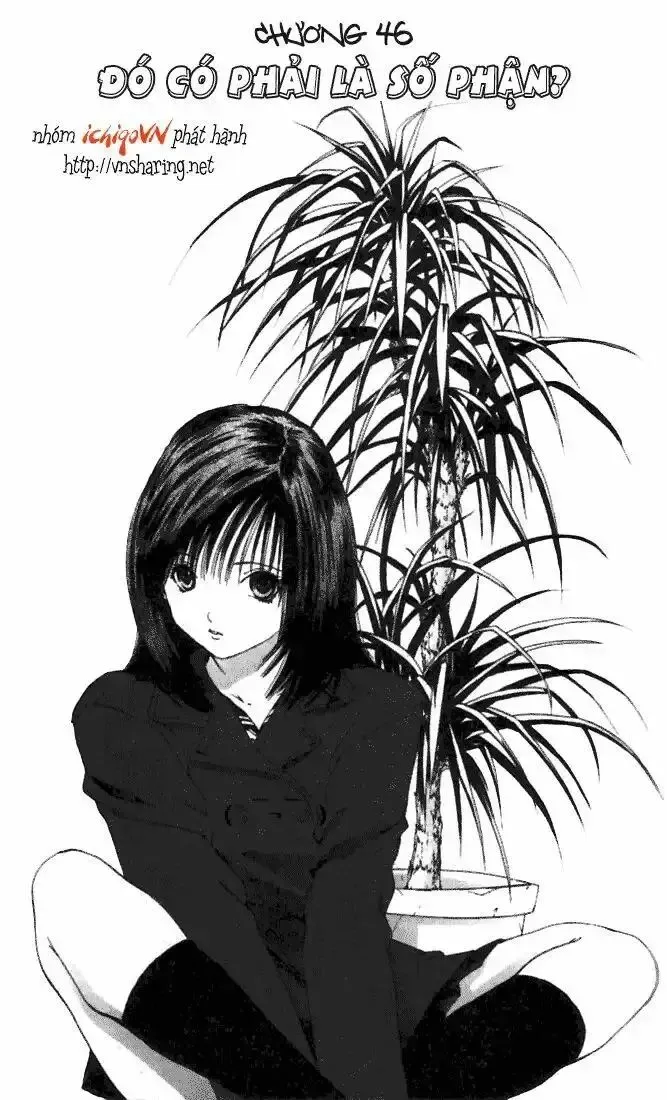 Ichigo 100% Chapter 46 - Trang 3