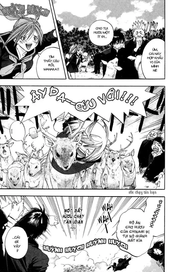 Ichigo 100% Chapter 86 - Trang 5