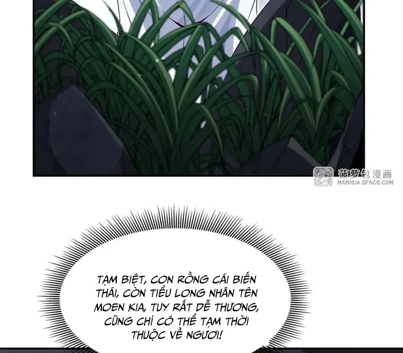 Im Miệng Đi Ác Long Ta Không Muốn Cùng Ngươi Trông Trẻ Đâu! Chapter 3 - Trang 25