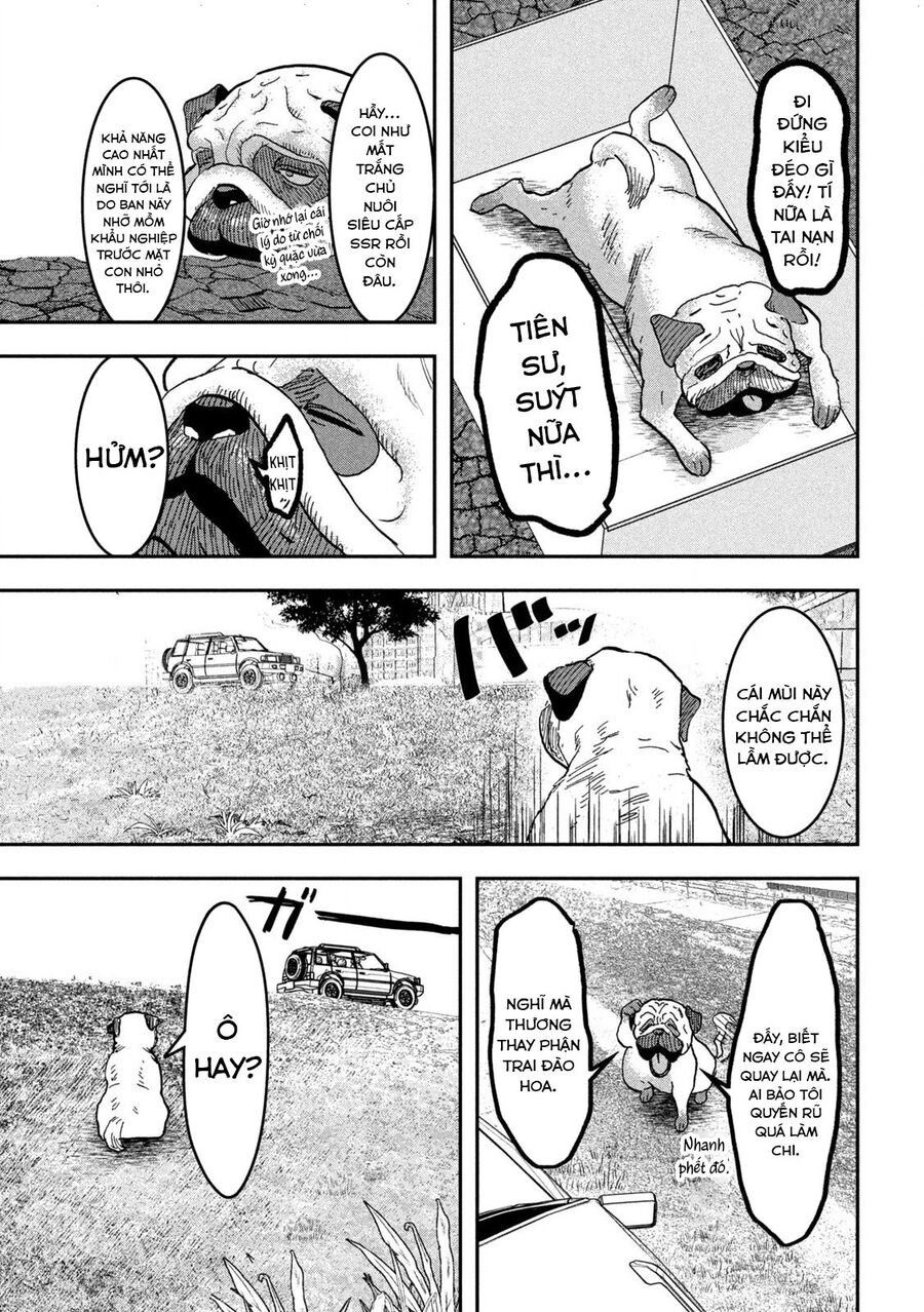 Innu - Chú Chó Bá Đạo Chapter 1 - Trang 10