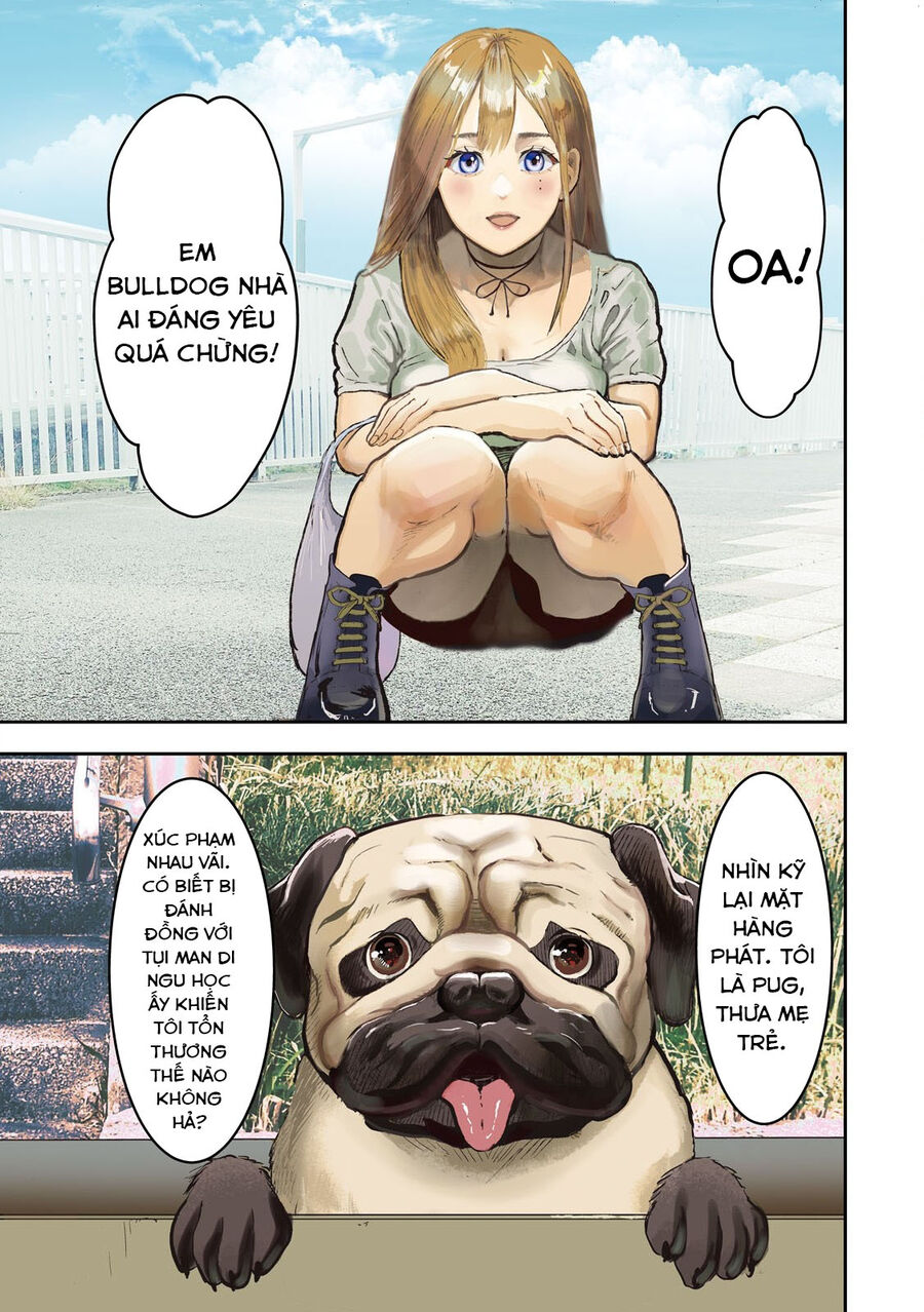 Innu - Chú Chó Bá Đạo Chapter 1 - Trang 4