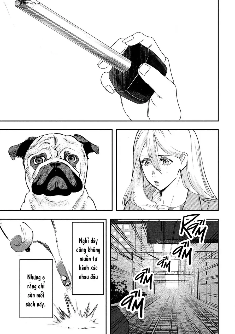 Innu - Chú Chó Bá Đạo Chapter 13 - Trang 15