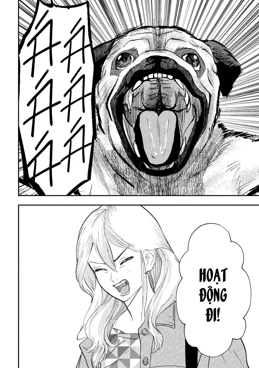 Innu - Chú Chó Bá Đạo Chapter 13 - Trang 19
