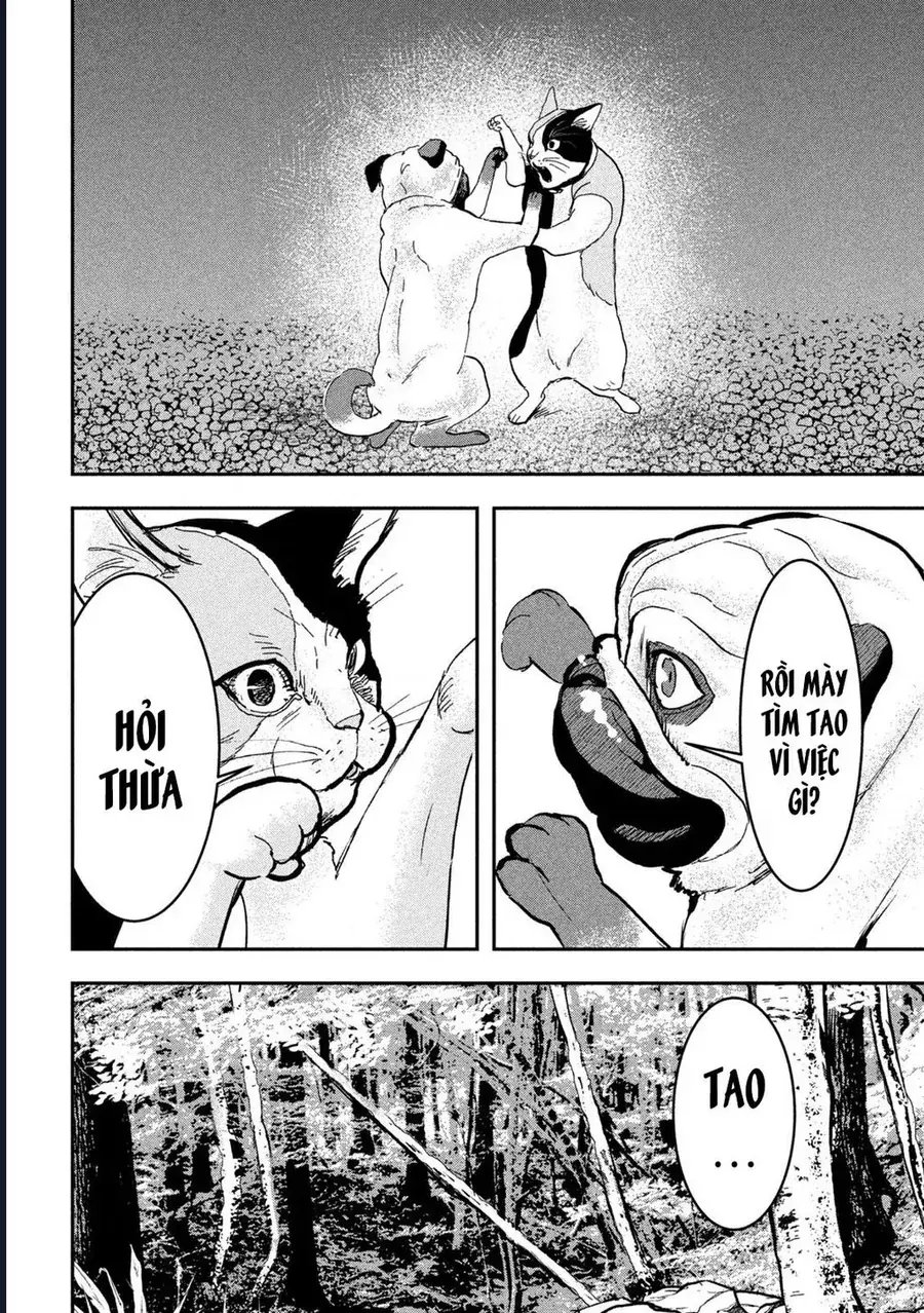 Innu - Chú Chó Bá Đạo Chapter 16 - Trang 13