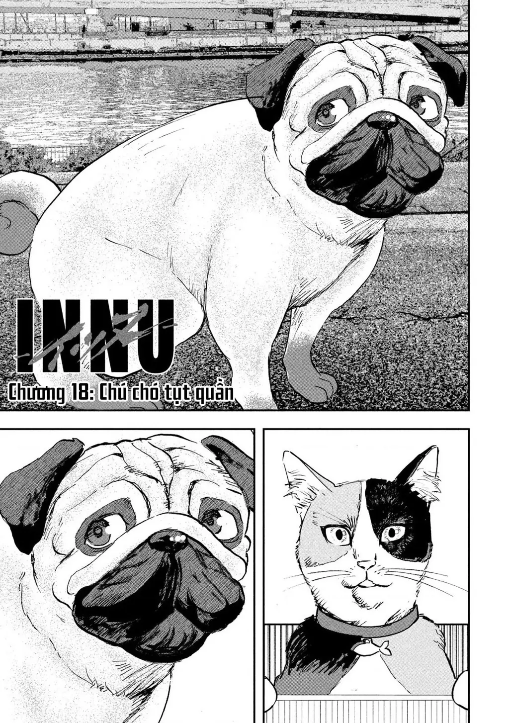 Innu - Chú Chó Bá Đạo Chapter 18 - Trang 4