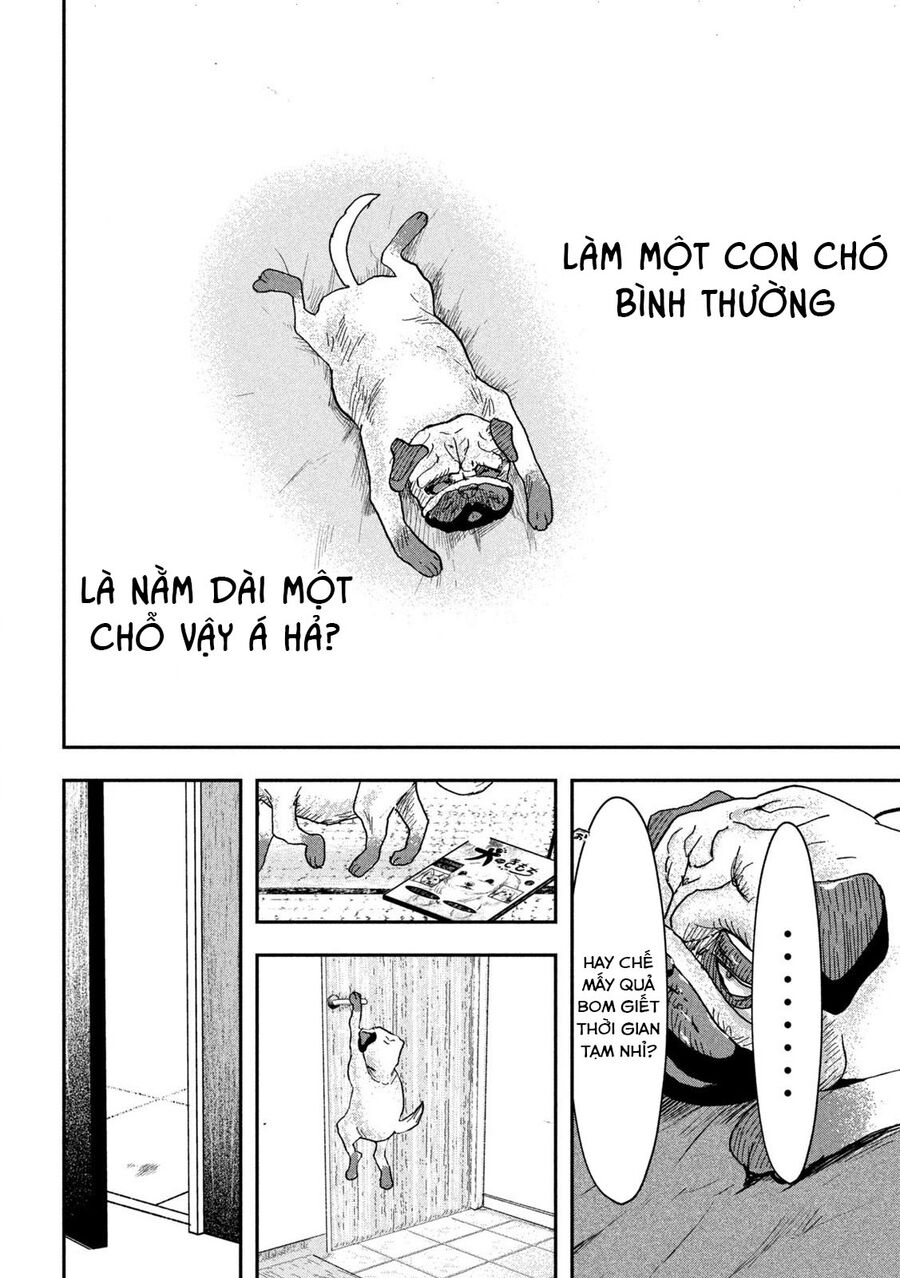 Innu - Chú Chó Bá Đạo Chapter 2 - Trang 9