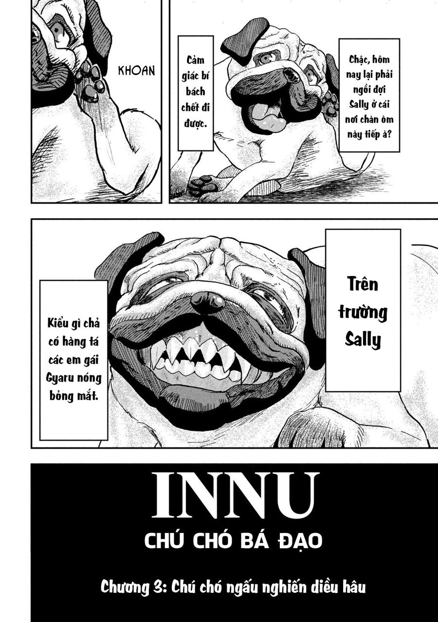 Innu - Chú Chó Bá Đạo Chapter 3 - Trang 4