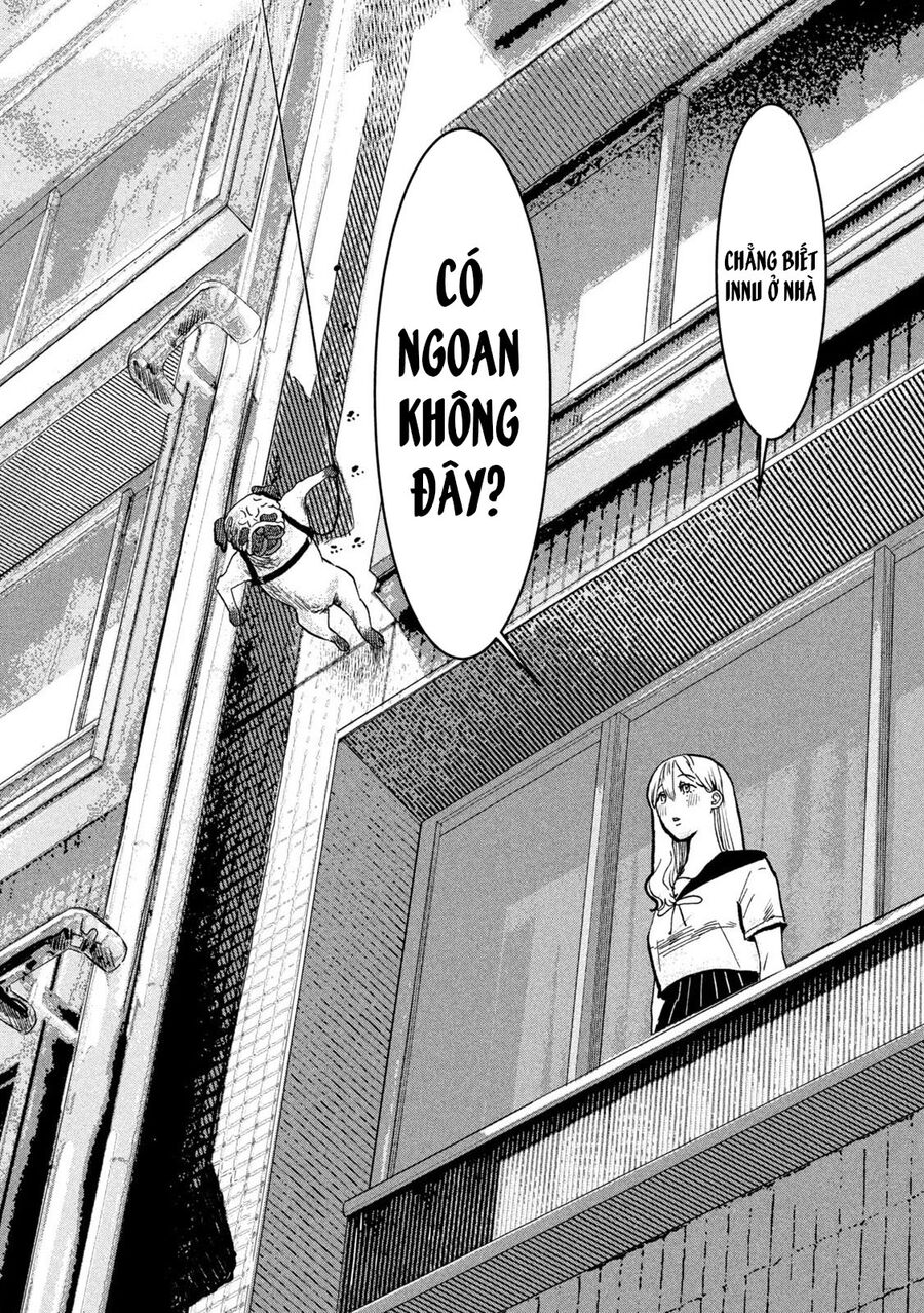 Innu - Chú Chó Bá Đạo Chapter 3 - Trang 8