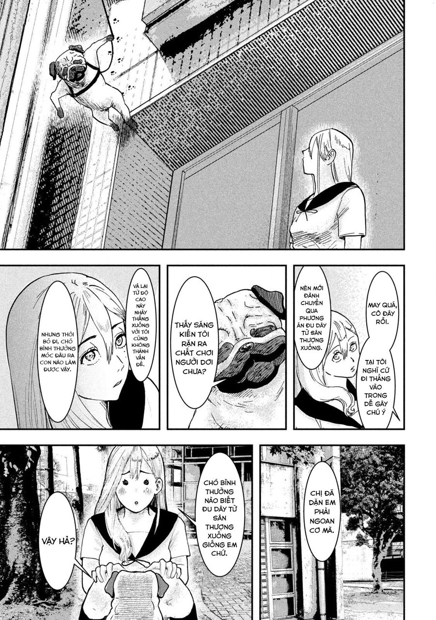 Innu - Chú Chó Bá Đạo Chapter 3 - Trang 9