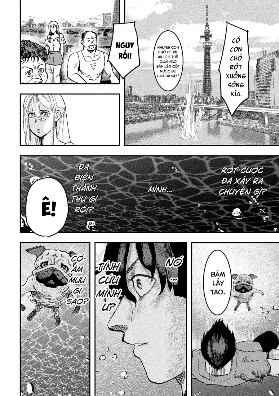 Innu - Chú Chó Bá Đạo Chapter 4 - Trang 22