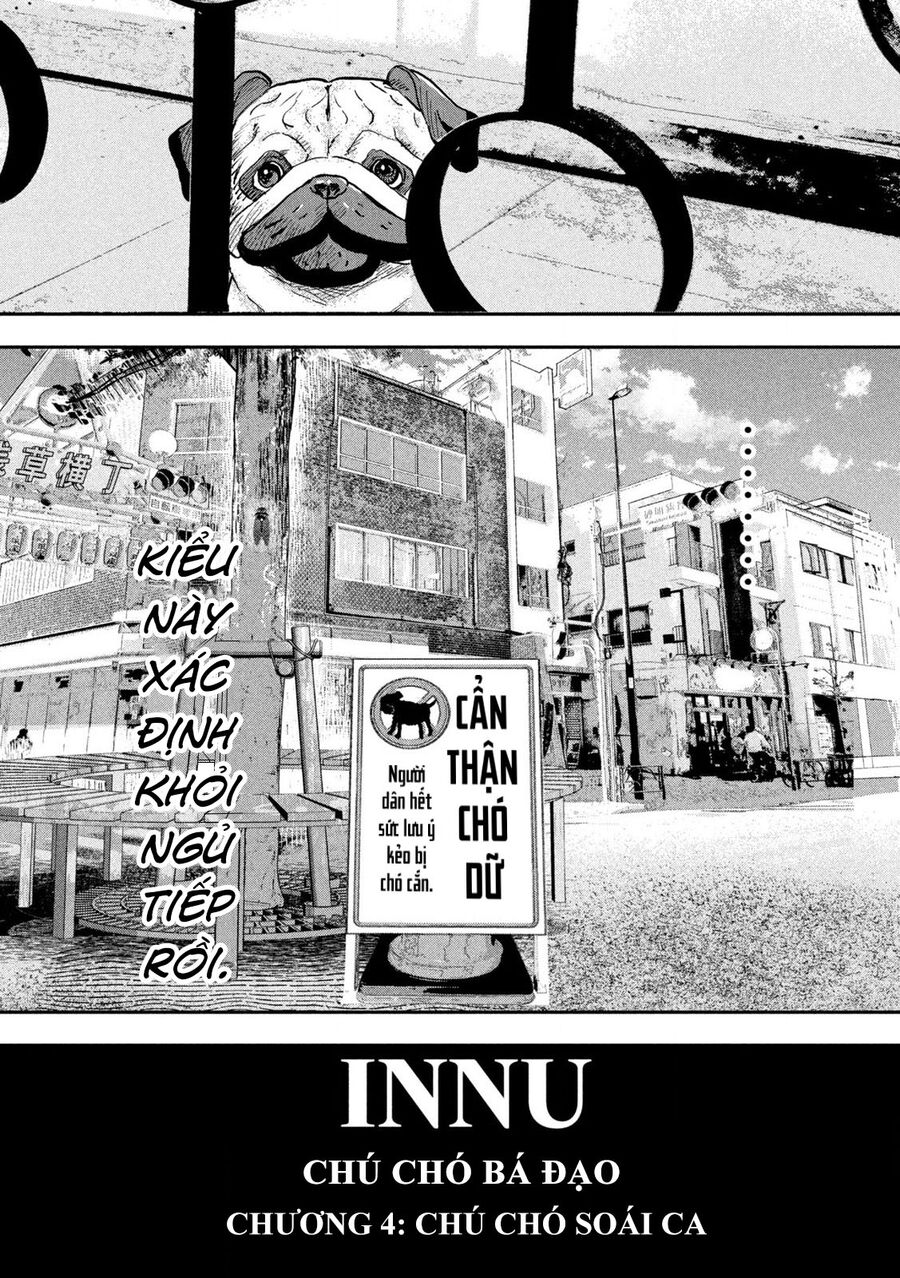 Innu - Chú Chó Bá Đạo Chapter 4 - Trang 6