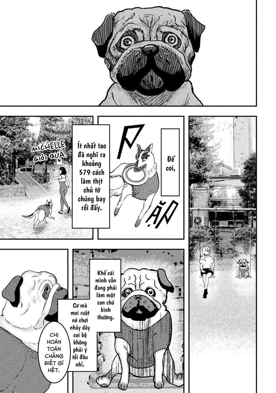 Innu - Chú Chó Bá Đạo Chapter 5 - Trang 10