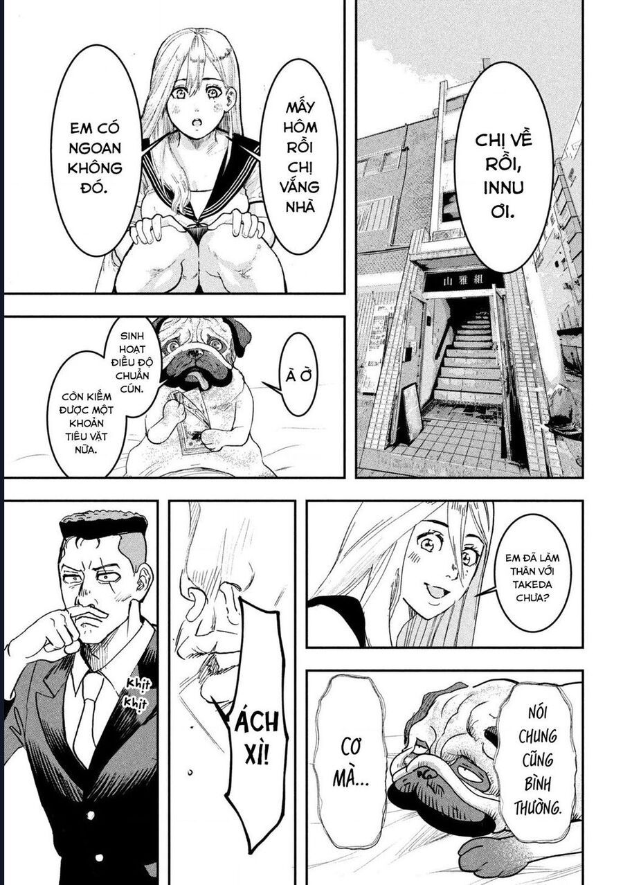 Innu - Chú Chó Bá Đạo Chapter 6 - Trang 17