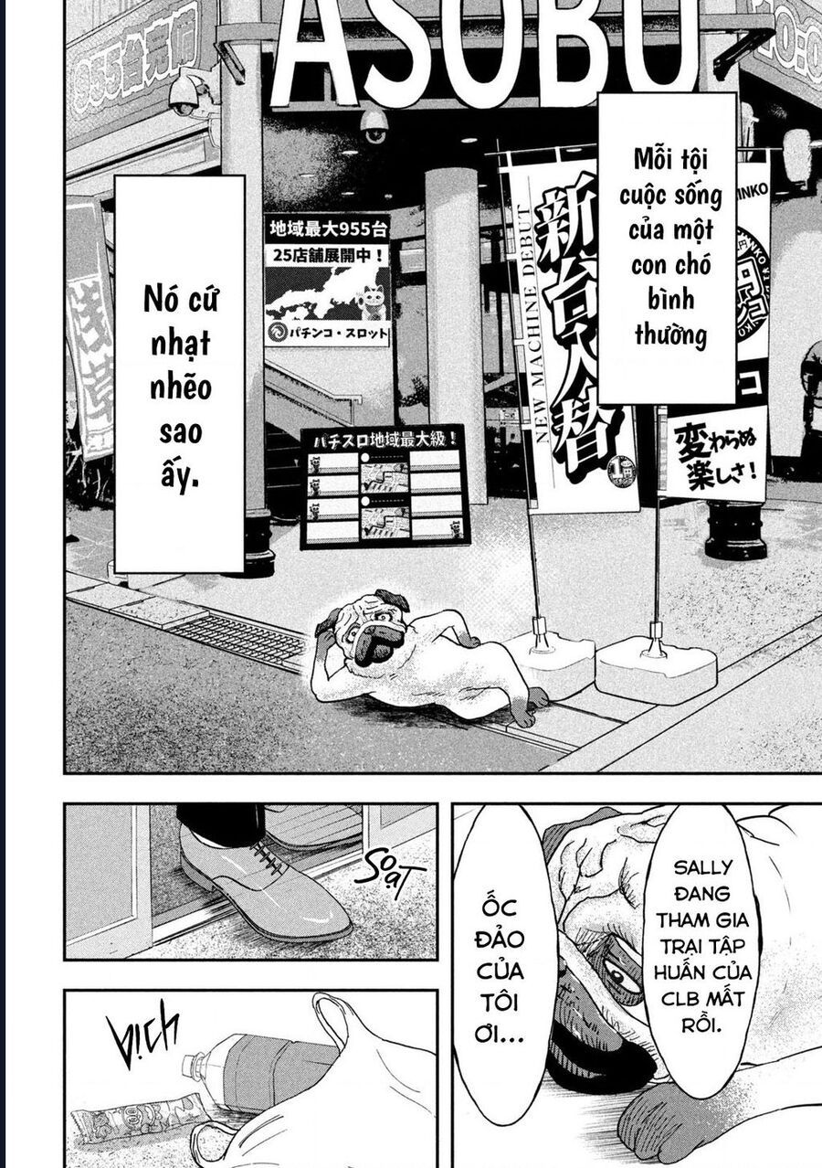 Innu - Chú Chó Bá Đạo Chapter 6 - Trang 2