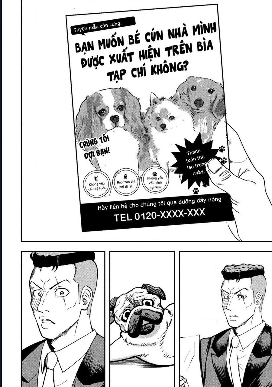 Innu - Chú Chó Bá Đạo Chapter 6 - Trang 4