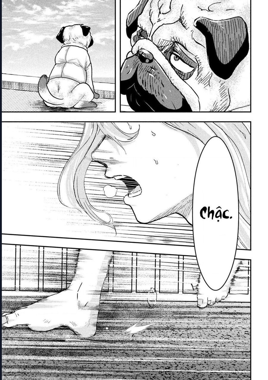 Innu - Chú Chó Bá Đạo Chapter 7 - Trang 20