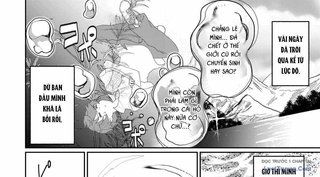 Isekai De Mizu No Dai Seirei Yattemasu Chapter 1 - Trang 17