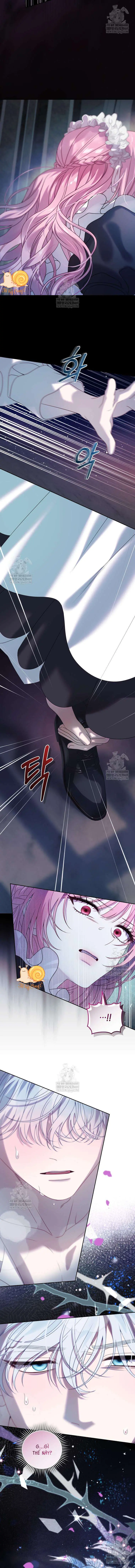 Kẻ Ám Ảnh Cuồng Tín Đang Cố Giam Cầm Tôi Chapter 1 - Trang 10