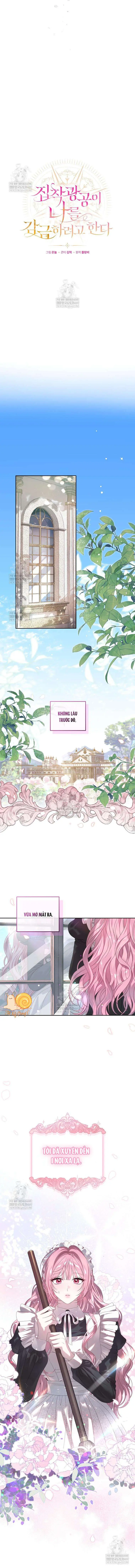 Kẻ Ám Ảnh Cuồng Tín Đang Cố Giam Cầm Tôi Chapter 1 - Trang 6