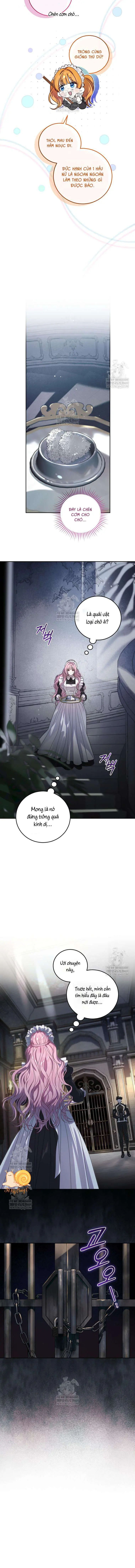Kẻ Ám Ảnh Cuồng Tín Đang Cố Giam Cầm Tôi Chapter 1 - Trang 8