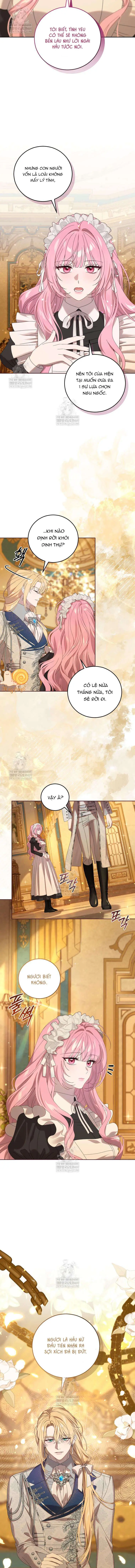Kẻ Ám Ảnh Cuồng Tín Đang Cố Giam Cầm Tôi Chapter 11 - Trang 5