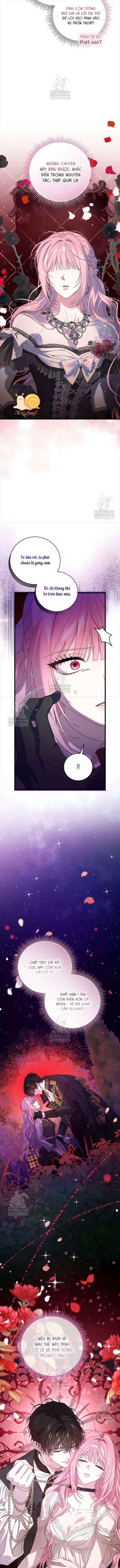 Kẻ Ám Ảnh Cuồng Tín Đang Cố Giam Cầm Tôi Chapter 15 - Trang 7
