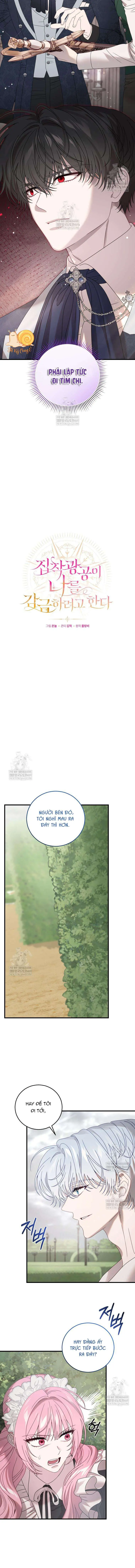 Kẻ Ám Ảnh Cuồng Tín Đang Cố Giam Cầm Tôi Chapter 17 - Trang 5