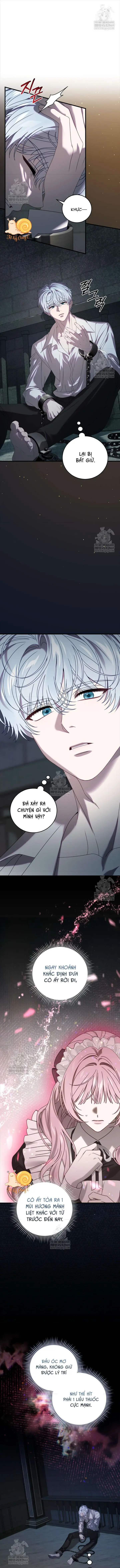 Kẻ Ám Ảnh Cuồng Tín Đang Cố Giam Cầm Tôi Chapter 19 - Trang 11