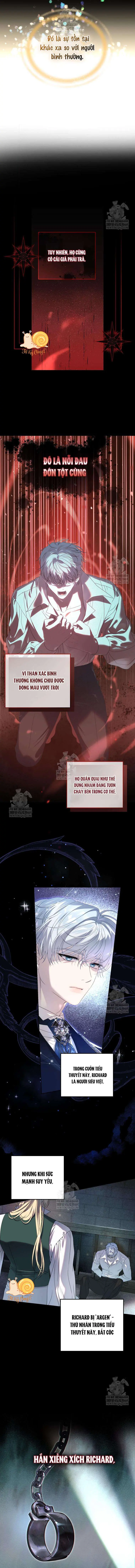 Kẻ Ám Ảnh Cuồng Tín Đang Cố Giam Cầm Tôi Chapter 2 - Trang 4