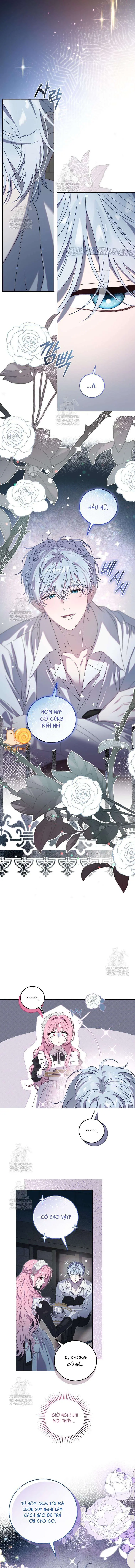 Kẻ Ám Ảnh Cuồng Tín Đang Cố Giam Cầm Tôi Chapter 2 - Trang 9